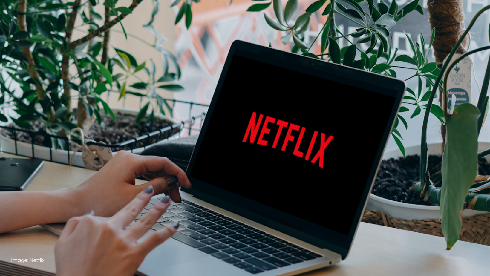 Netflix See Themselves as a Professional Sports Team For Performance, Not Unconditional Love