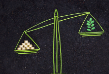 What is Green Halal, and Why Is It Significant to Companies? - Muslim Insiders