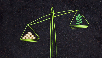 What is Green Halal, and Why Is It Significant to Companies? - Muslim Insiders