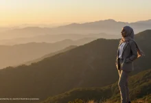 Clear Signs That You’re Feeling Truly Content in Your Entrepreneurial Journey - Muslim Insiders