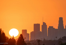 Barakah Business: Is Your Business Missing It? Here’s What to Fix - Muslim Insiders