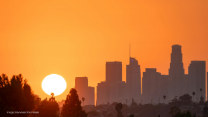 Barakah Business: Is Your Business Missing It? Here’s What to Fix - Muslim Insiders